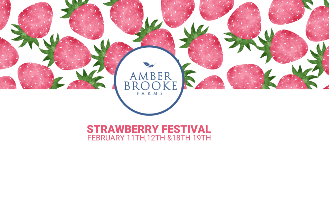 2nd Annual Strawberry Festival | Amber Brooke Farms Eustis