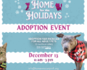 Home for the Holidays Adoption Event