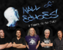 Wall of Echoes- Pink Floyd Tribute