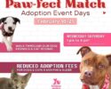 HSNCF Paw-fect Match Adoption Event Days