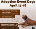 April Adoption Event Days