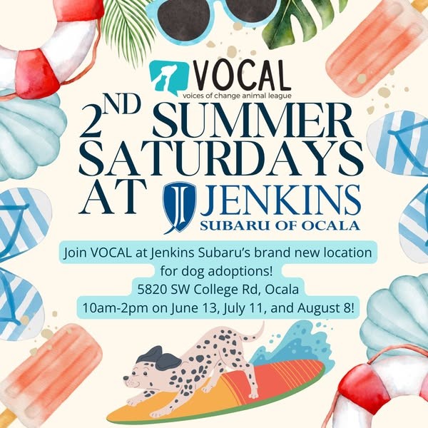Poster for VOCAL's 2nd Summer Saturdays at Jenkins Subaru of Ocala. Announces dog adoptions at 5820 SW College Rd, Ocala, 10am–2pm on June 13, July 11, and August 8.