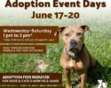 June Adoption Event Days @ HSNCF