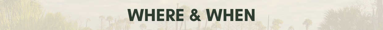 Banner header reading 'WHERE & WHEN' over a pale palm-tree landscape background.