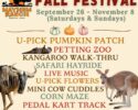 Mayhem Ranch Fall Festival